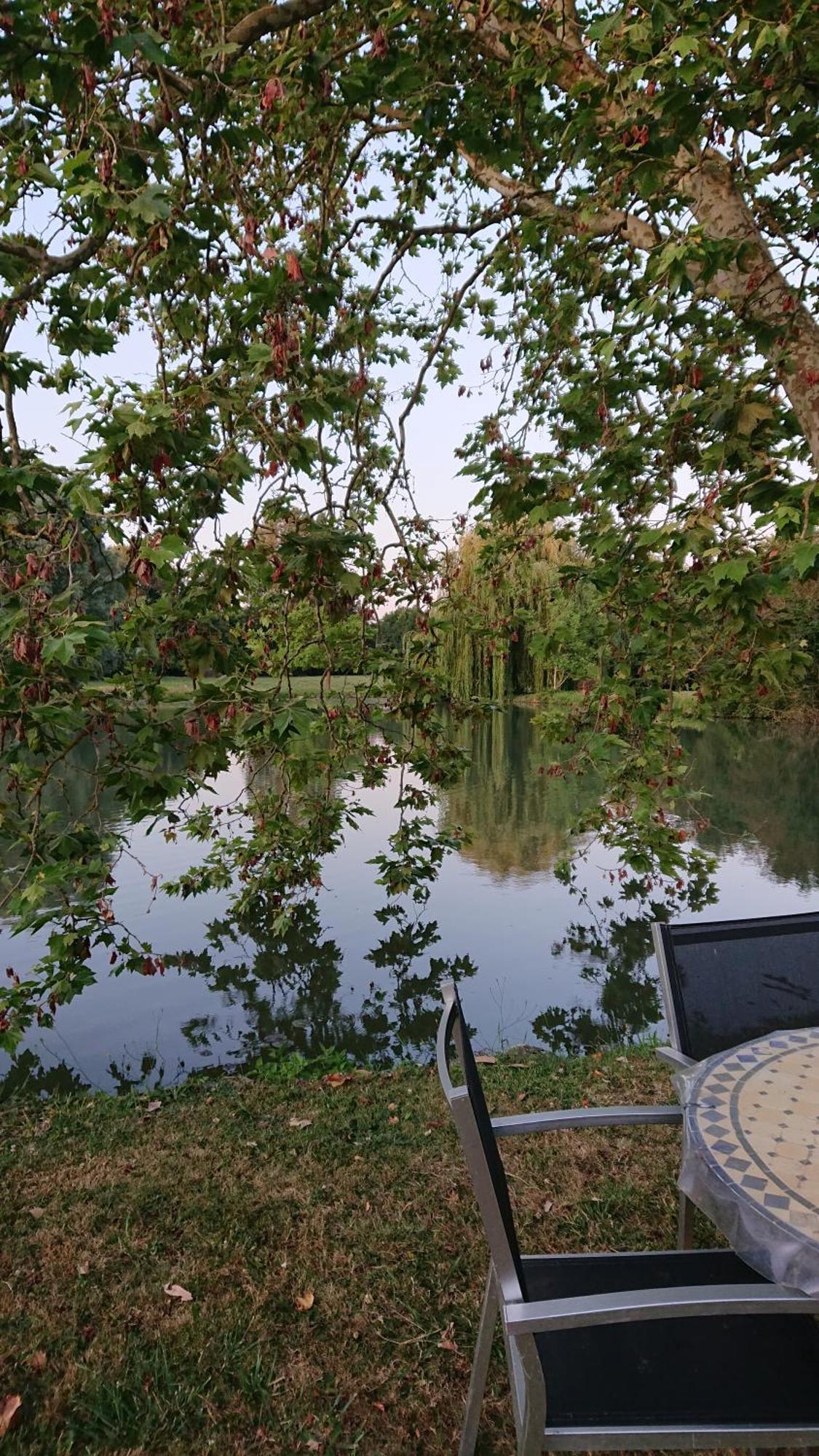 BlereMoulin Du Fief Gentil住宿加早餐旅馆 外观 照片